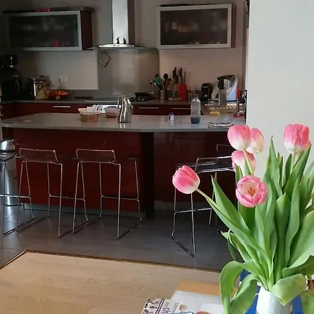 Maison 5 Avec Piscine Dans מלון ליון